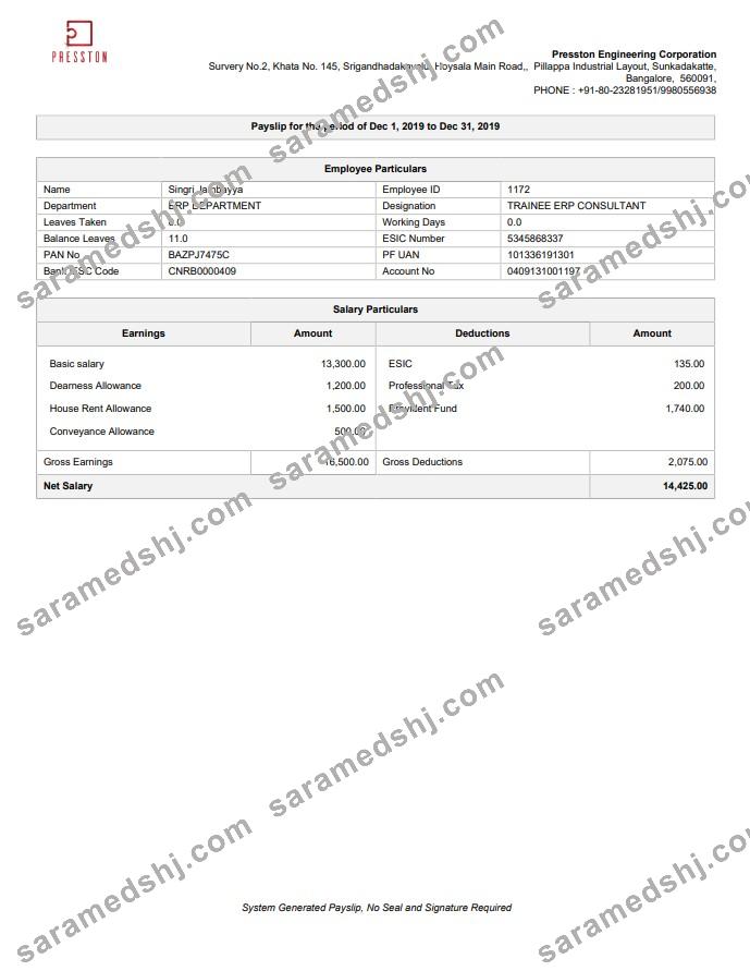 Presston Engineering Corporation pay stub in PDF and Word format